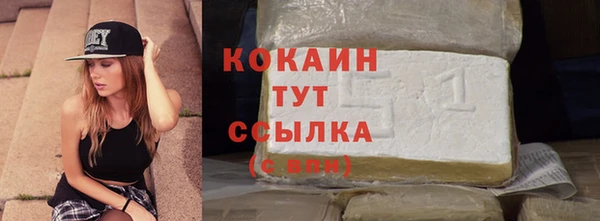 прущий лед Костерёво